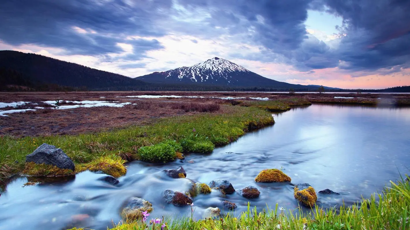 全自动新型创新